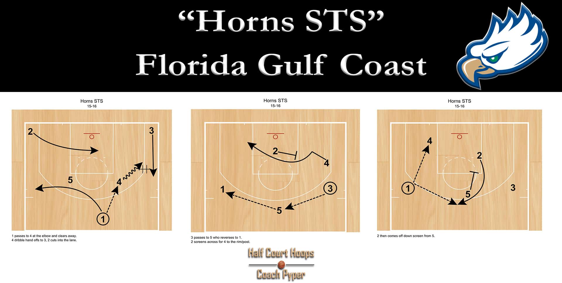 Florida Gulf Coast Horns STS