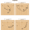 Anadolu Efes 2022 EuroLeague Champions Playbook - Image 3