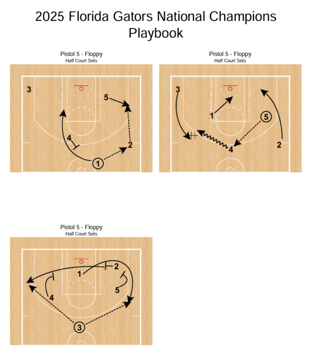 2025 Florida Gators National Champions Playbook - Image 4