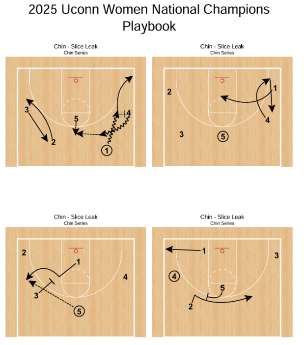 2025 Uconn Women National Champions Playbook - Image 3