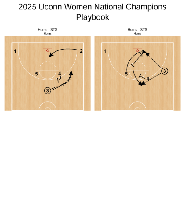 2025 Uconn Women National Champions Playbook - Image 2